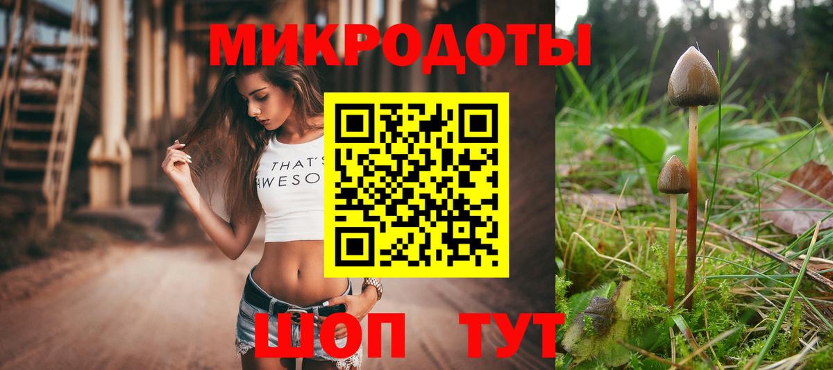 Галлюциногенные грибы мицелий  купить наркоту  Вичуга  Псилоцибиновые грибы ЛСД  Вход с VPN 